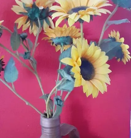 ホテル Pame Pantheos カメナブルナ